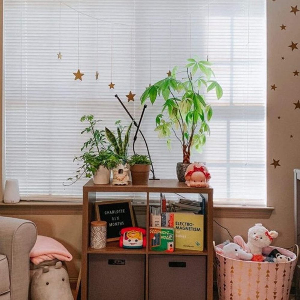 Photo Display Wooden Stars Frame Collage Hanging - Picture 4 of 6